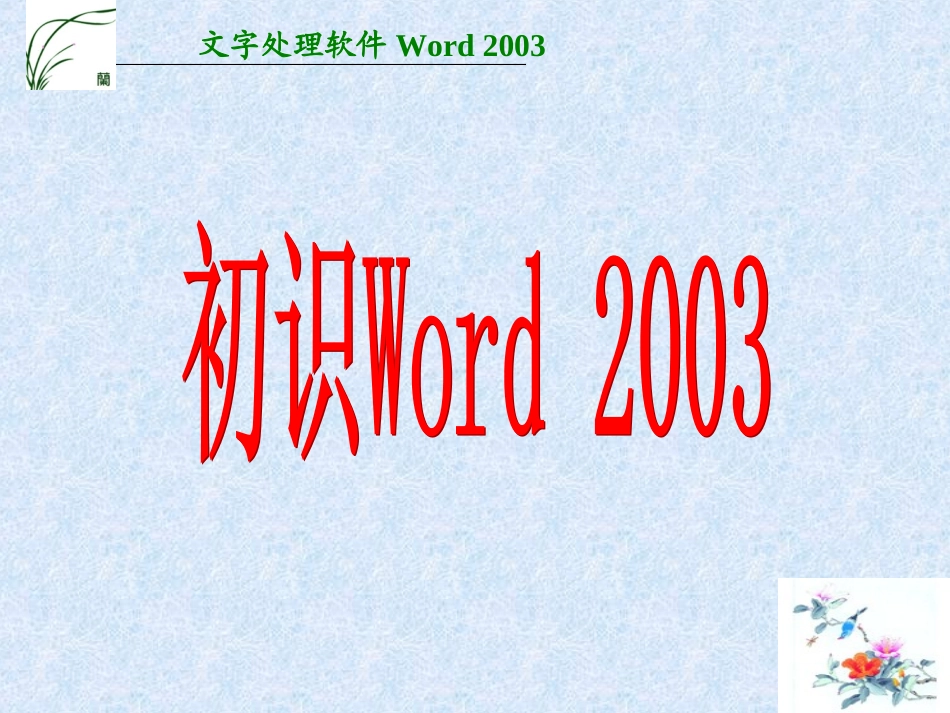 初识Word2003_第1页
