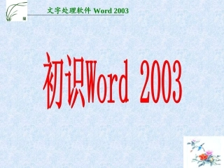 初识Word2003