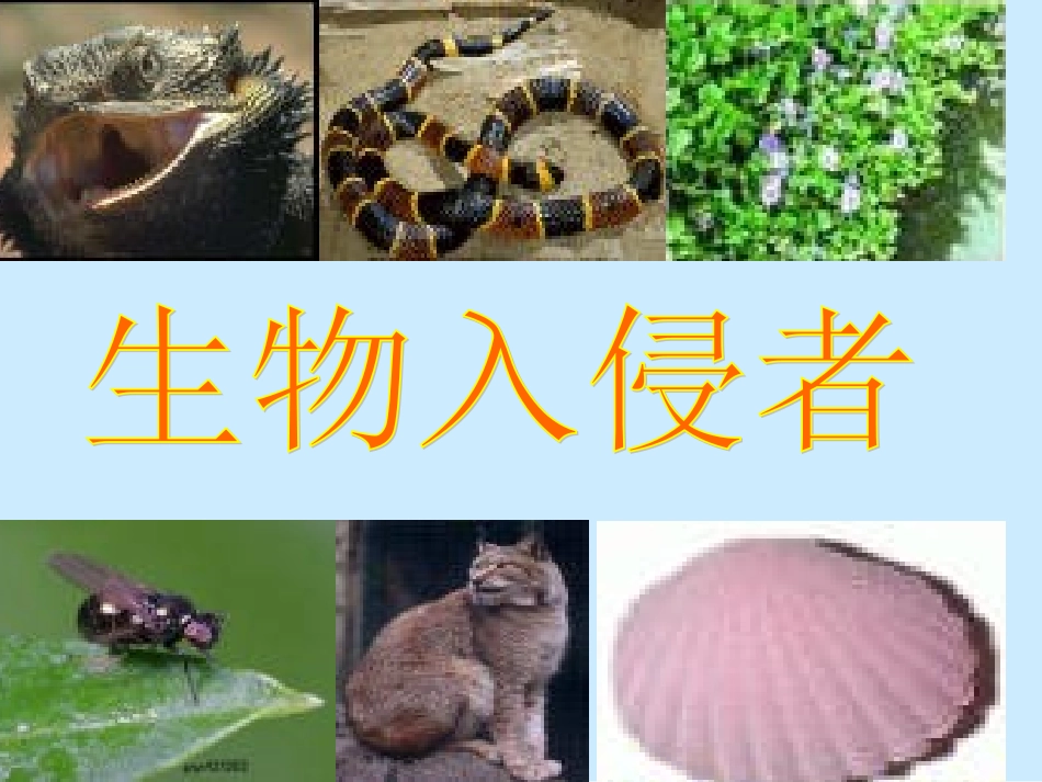 《生物入侵者》课件 (2)_第1页