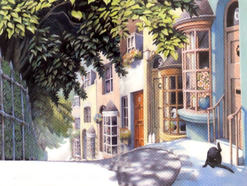 吃六顿晚餐的猫_第3页