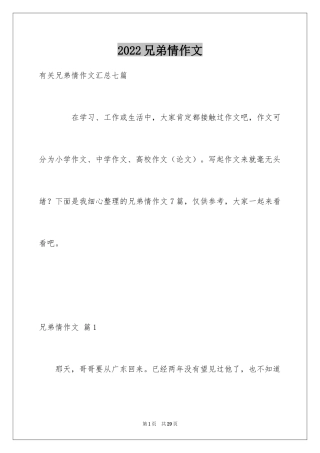 2024兄弟情作文_104