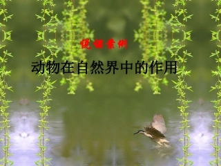 初二生物_《动物在自然界中的作用》说课课件[1]