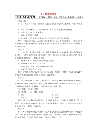 高中历史 专题八 19世纪以来的文学艺术 8.2 碰撞与冲突学案 人民版必修3-人民版高一必修3历史学案