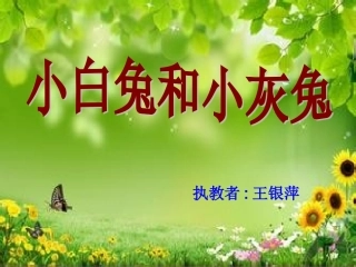 小白兔和小灰兔课件