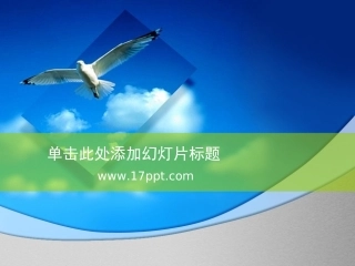 蓝天白鸽课件