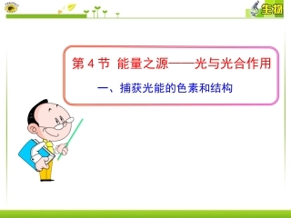 一、捕获光能的色素和结构