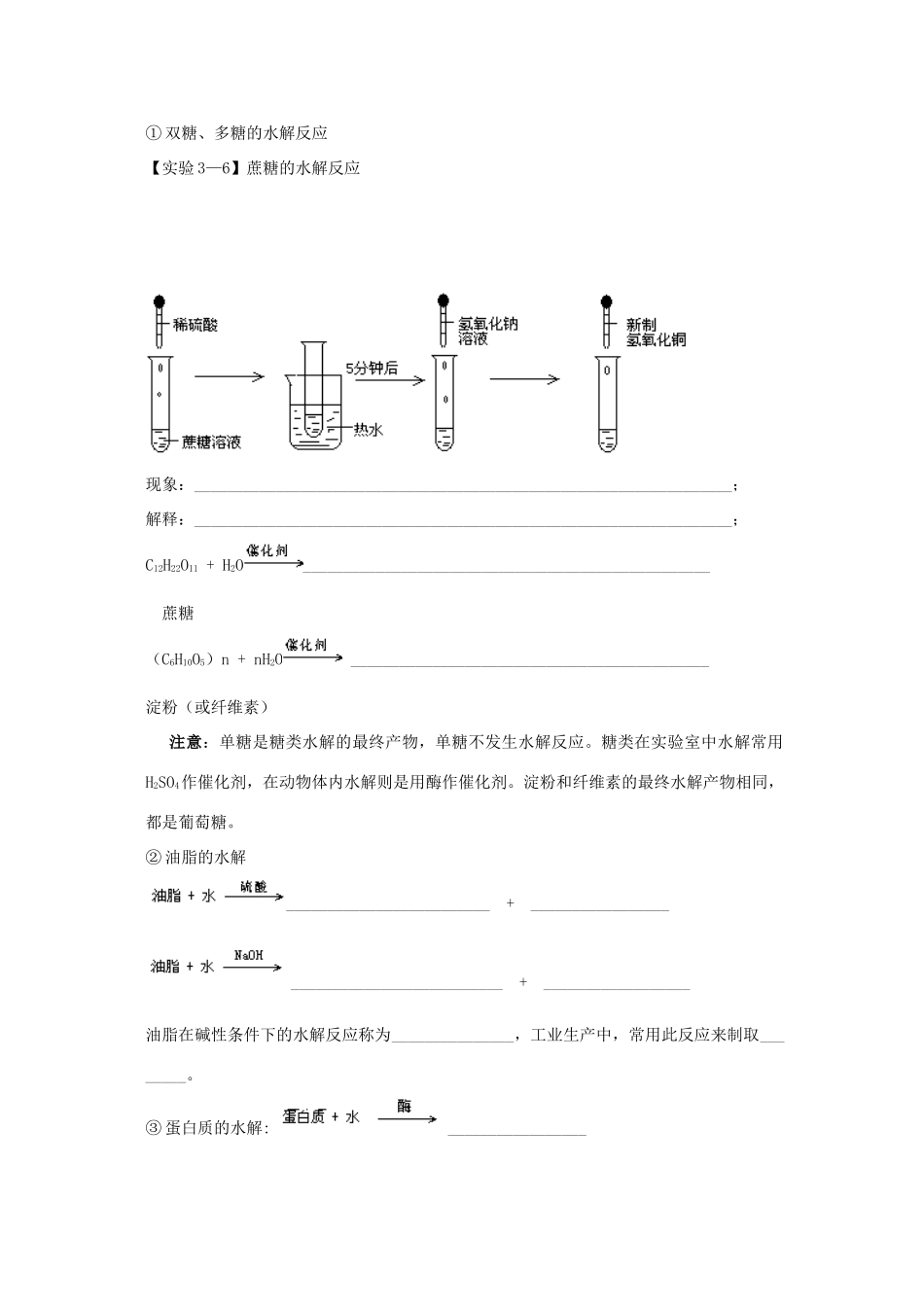 河南省安阳县二中高一化学《34基本营养物质》导学案_第3页