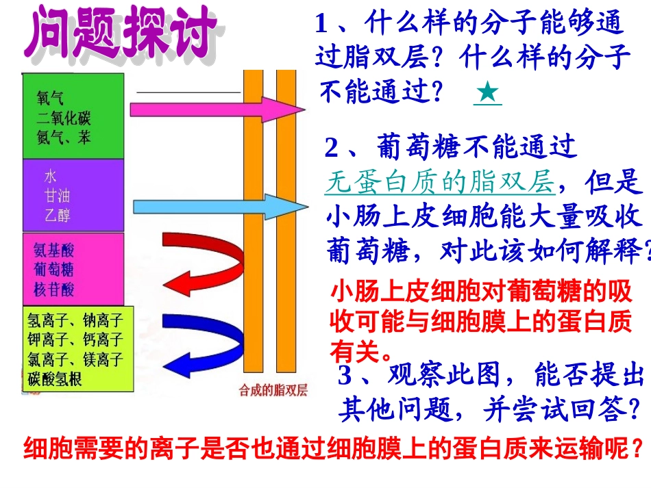 物质跨膜运输方式（讲课用）_第2页
