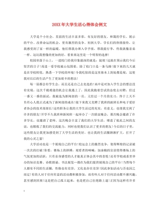 20XX年大学生活心得体会例文 