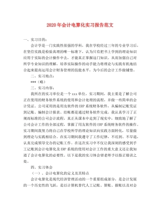 2024年会计电算化实习报告范文 