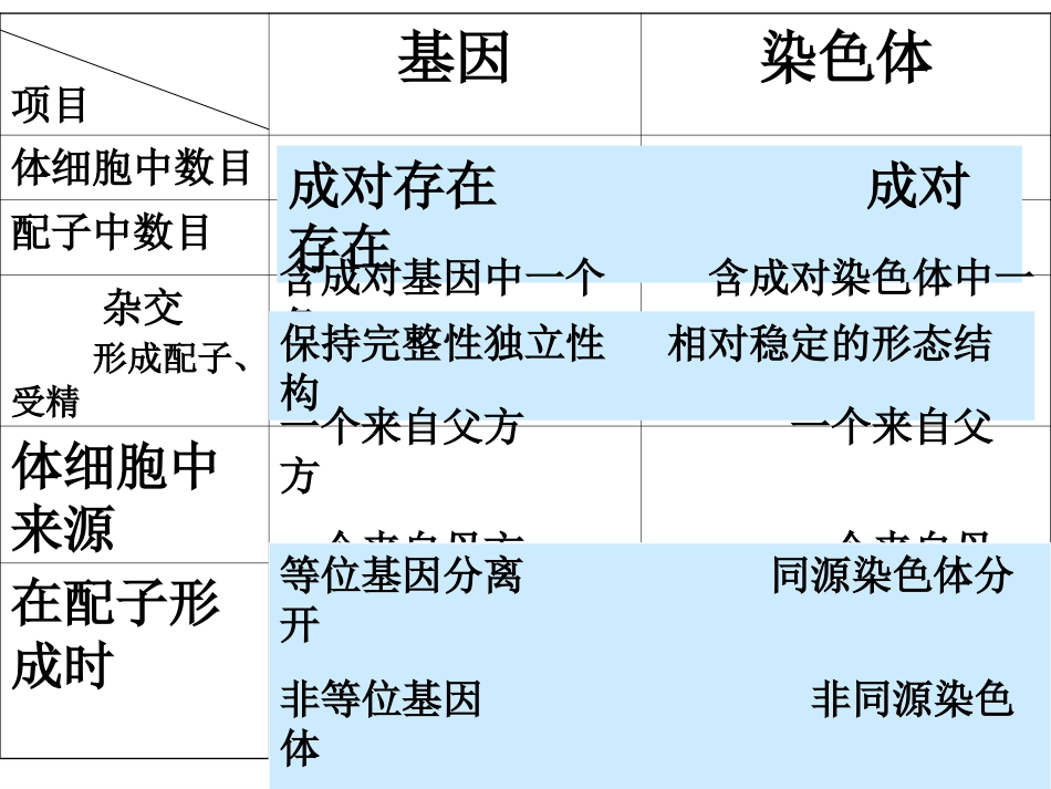 基因在染色体上_第3页