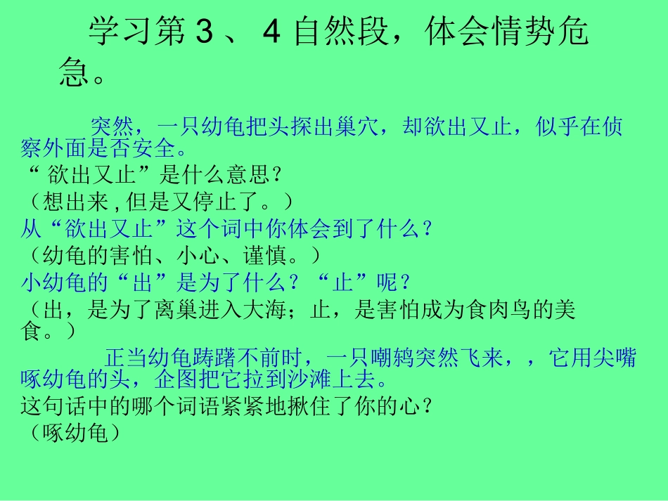 自然之道第二课时_第1页