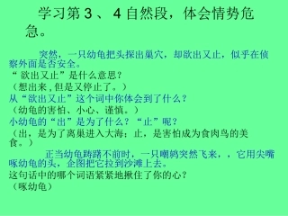 自然之道第二课时