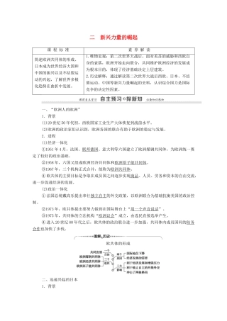 高中历史 专题9 当今世界政治格局的对极化趋势 2 新兴力量的崛起学案 人民版必修1-人民版高一必修1历史学案