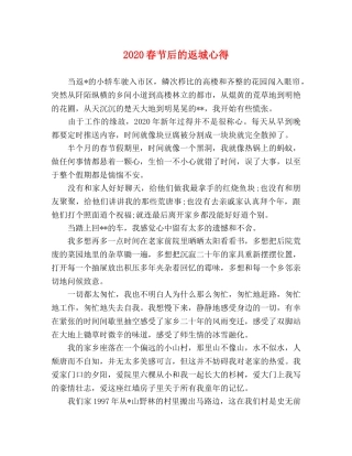 2024春节后的返城心得 