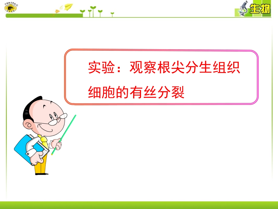 实验：观察根尖分生组织细胞的有丝分裂_第1页