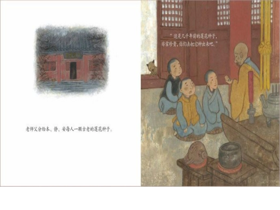 安的种子MicrosoftPowerPoint演示文稿(2)_第2页