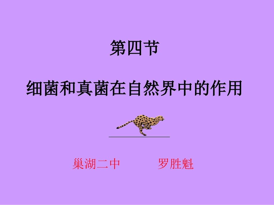 《细菌和真菌在自然界中的作用》课件4_第1页
