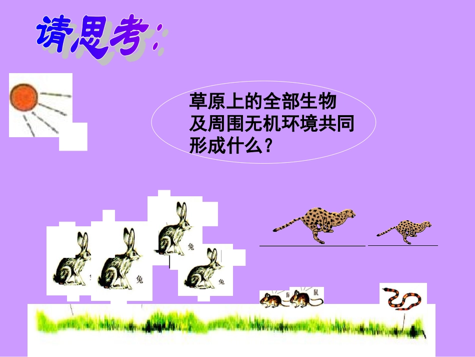 《细菌和真菌在自然界中的作用》课件4_第2页