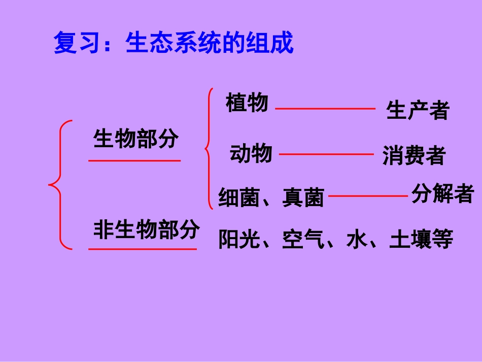 《细菌和真菌在自然界中的作用》课件4_第3页
