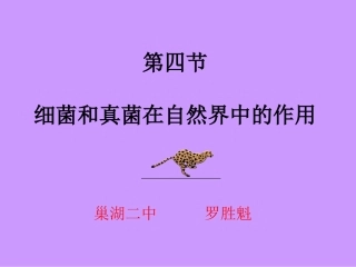《细菌和真菌在自然界中的作用》课件4