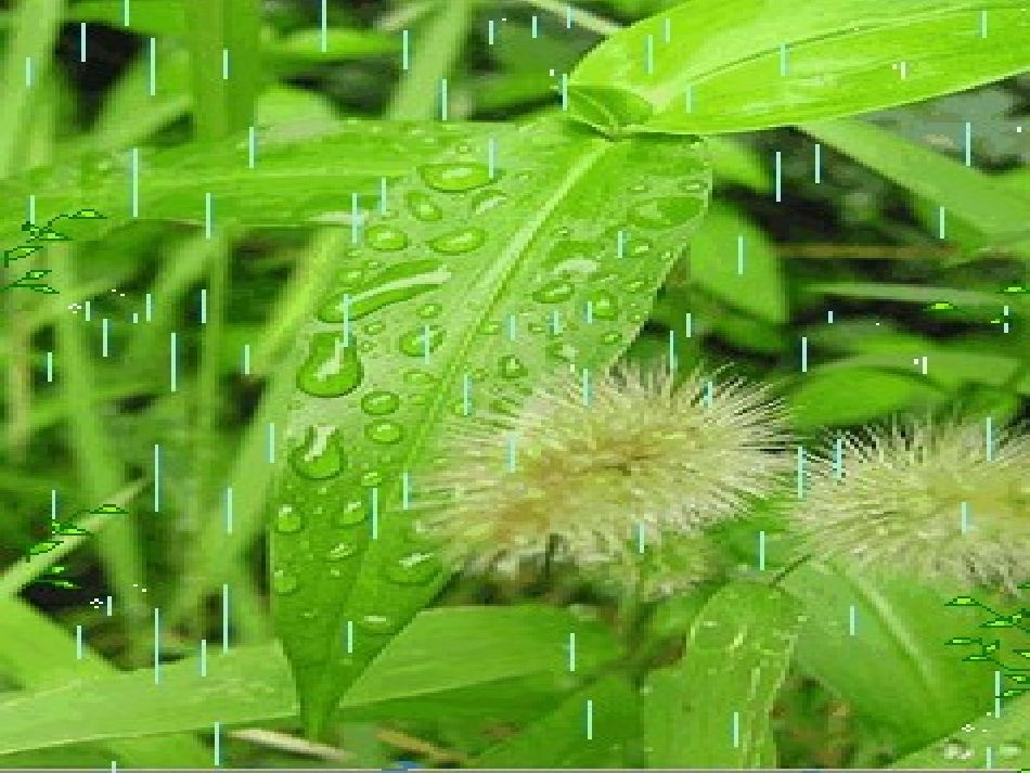 春雨的色彩__第3页
