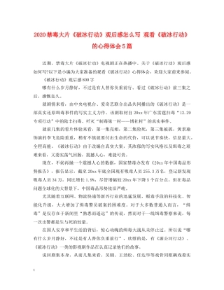 2024禁毒大片《破冰行动》观后感怎么写 观看《破冰行动》的心得体会5篇 
