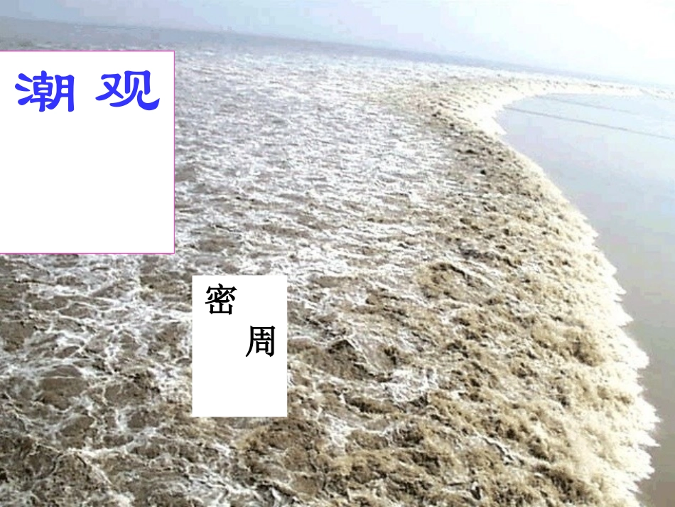 观潮yong_第1页