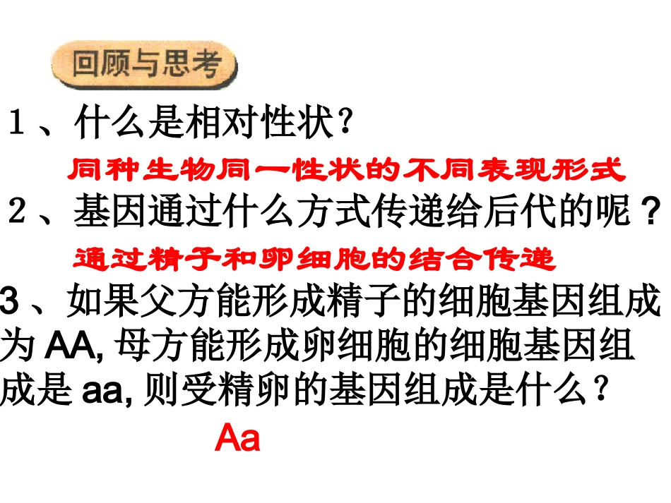 基因的显性与隐性（共37张PPT）_第1页