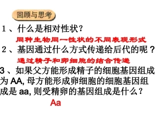 基因的显性与隐性（共37张PPT）