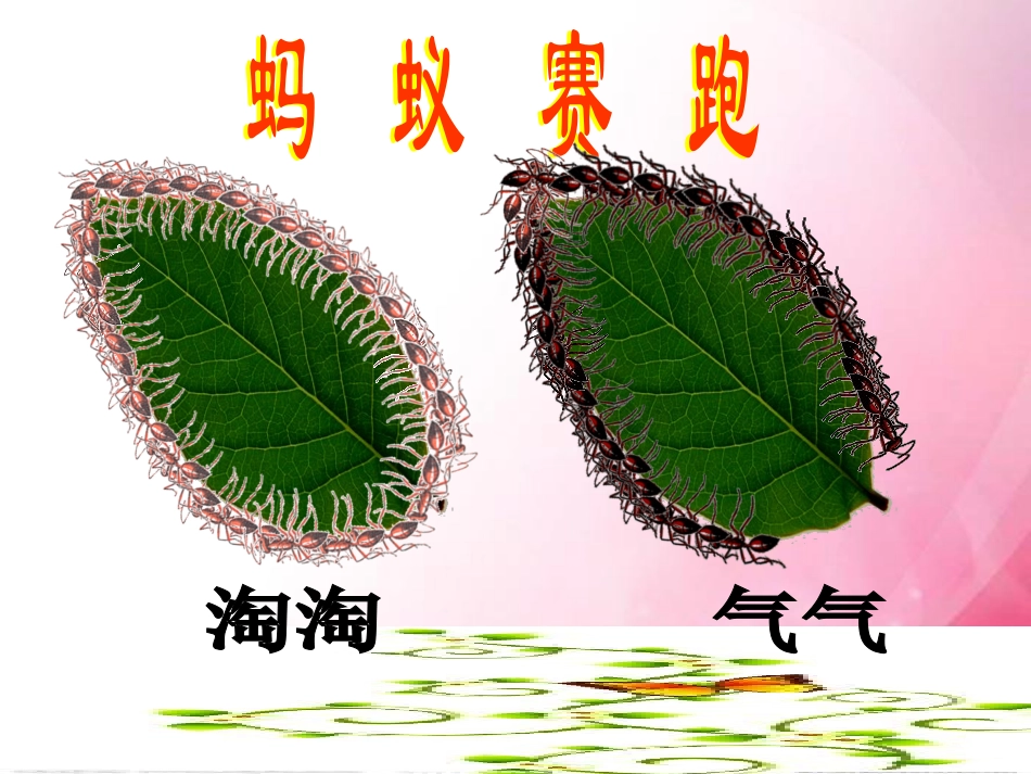 《什么是周长》张秀丽_第2页