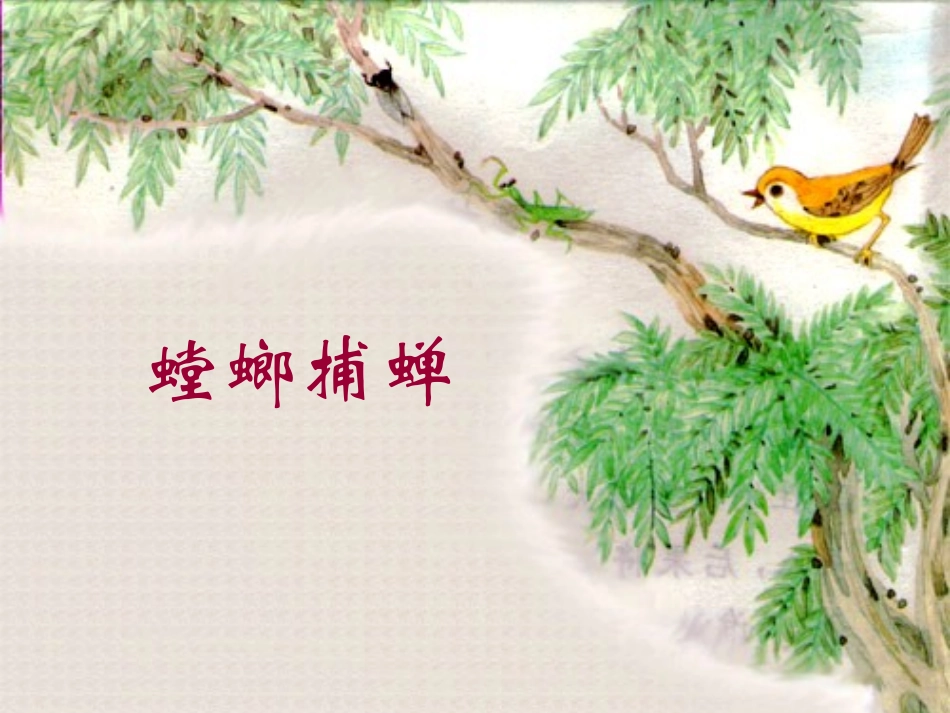 螳螂捕蝉PPT课件_第1页