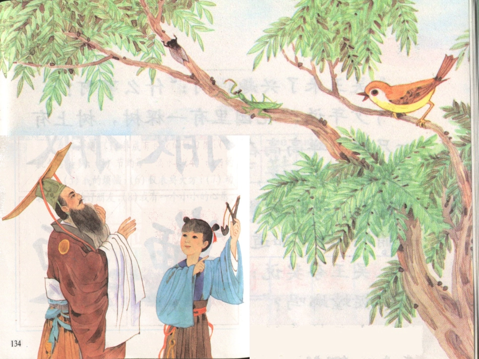 螳螂捕蝉PPT课件_第3页