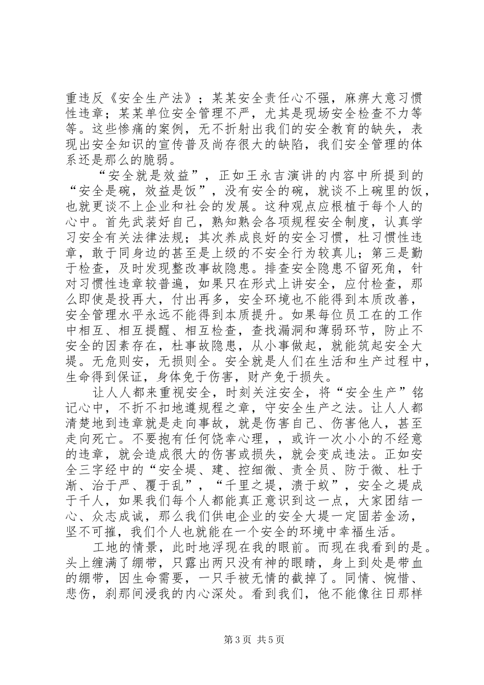 电力安全生产演讲稿材料3则_第3页