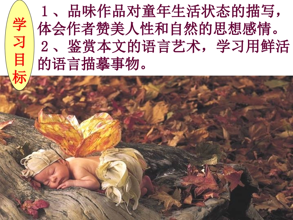 《呼兰河传》课件5_第2页