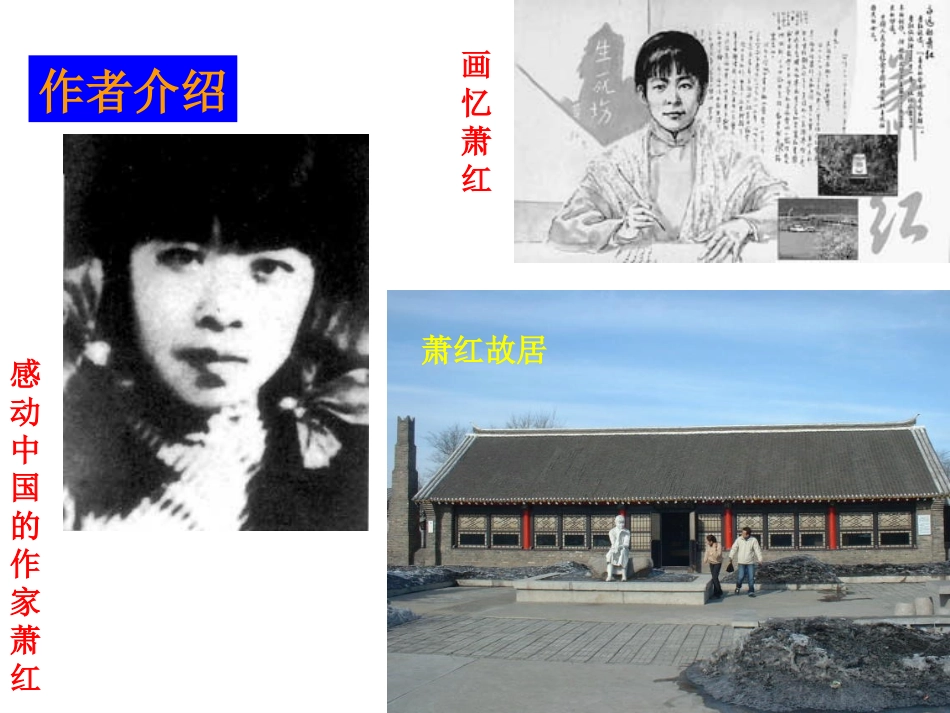 《呼兰河传》课件5_第3页
