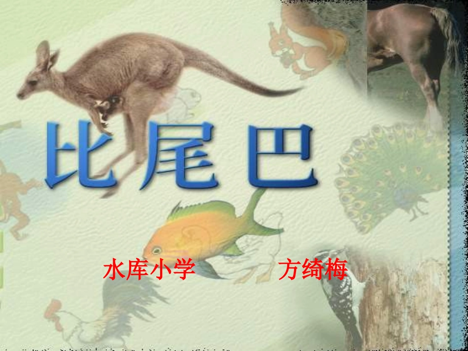 小学一年级上册语文第十课比尾巴PPT课件2_第1页