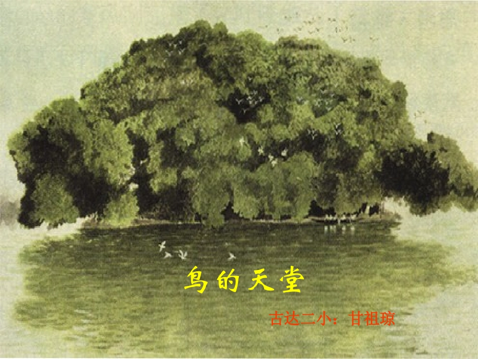 沪江网_《鸟的天堂》课件_2012101820251645_720_第1页