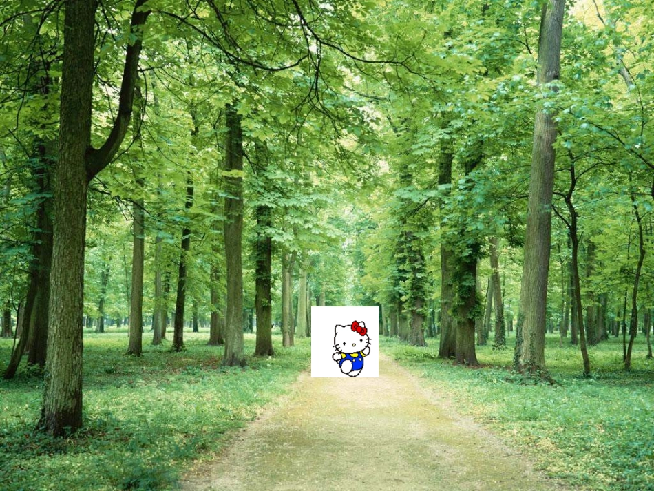 分数基本性质课件_第1页