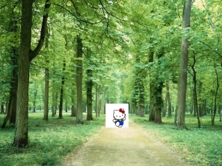 分数基本性质课件