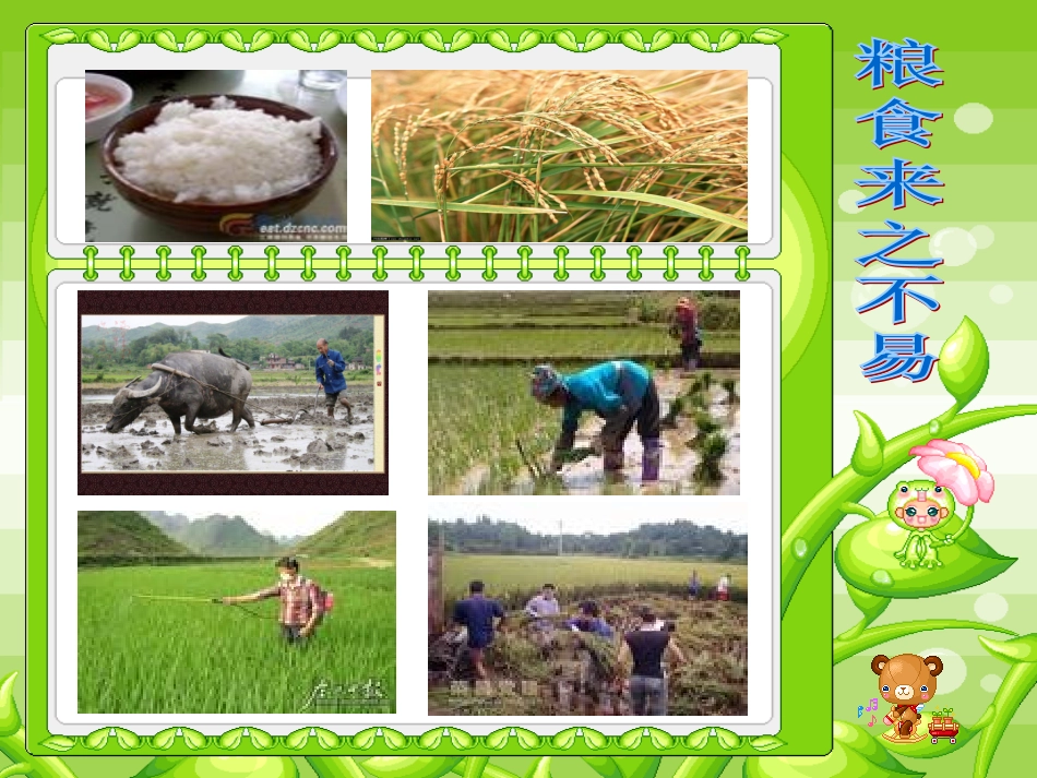 《爱惜粮食》教学课件_第3页