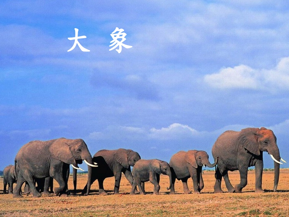 人教版一年级语文下册第二十一课称象课件_第3页