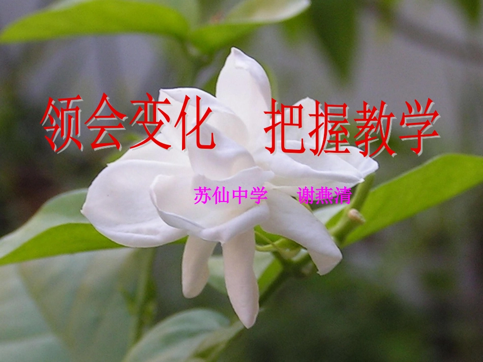 领会变化把握教学_第1页