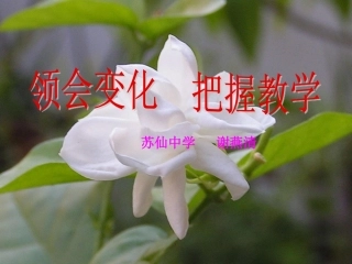 领会变化把握教学