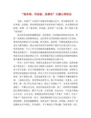 “强本领、补短板、促善治”主题心得体会 