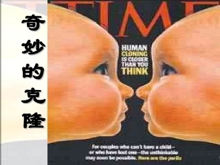 奇妙的克隆课件
