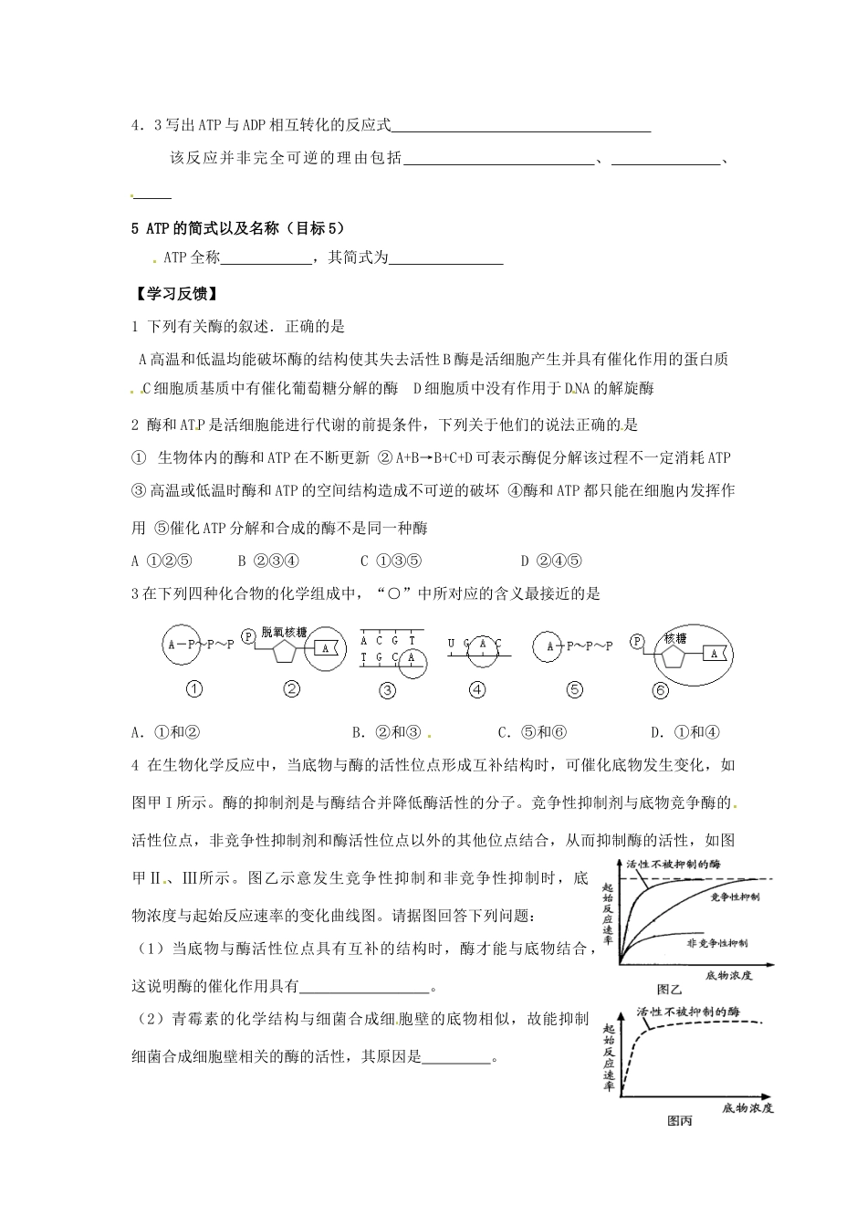 江苏省灌南高级中学高二化学 酶和ATP学案_第2页