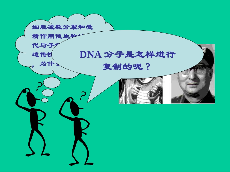【生物】33DNA的复制课件1（人教版必修2）_第2页