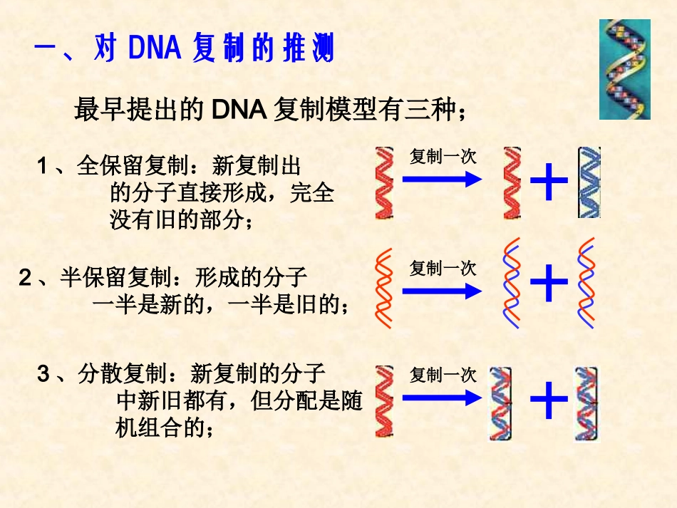 【生物】33DNA的复制课件1（人教版必修2）_第3页
