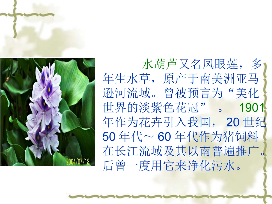 生物入侵者课件 (2)_第2页